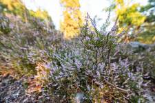 Matthieu LANDON - MATTHIEU LANDON