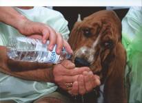 Christine LE GUYADEC - leguyadecc@gmail.com